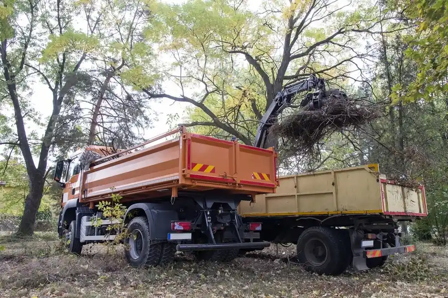 The Benefits Of Hauling Services For Garden Waste Removal in Doral, FL